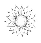 Sun Flower