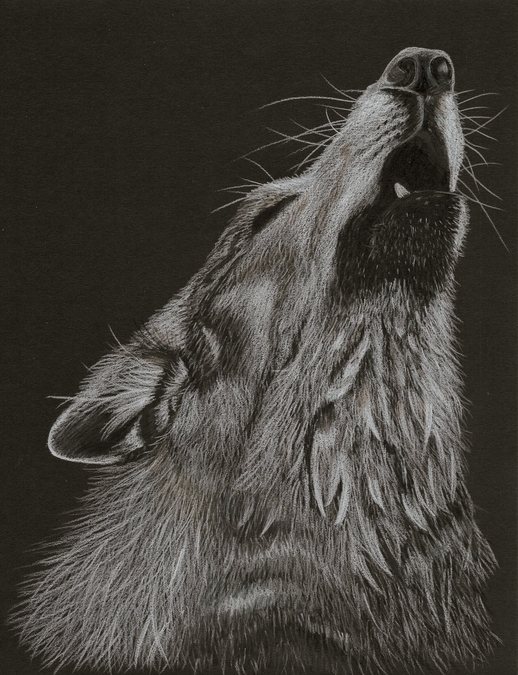 Howling Wolf